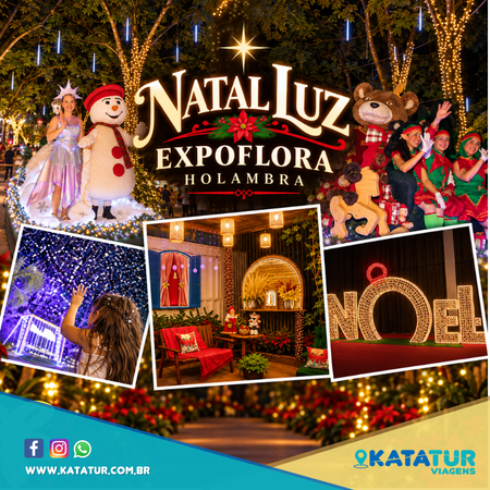 NATAL LUZ - HOLAMBRA